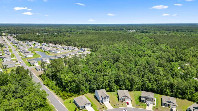 4005 Sweetspire Court, Conway, SC 29527