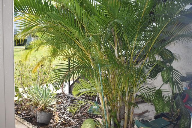 7701 STARKEY ROAD 313, Seminole, FL 33777