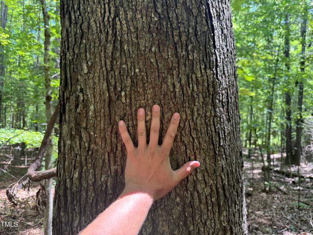 Lot 2 Stonehouse Court, Franklinton, NC 27525