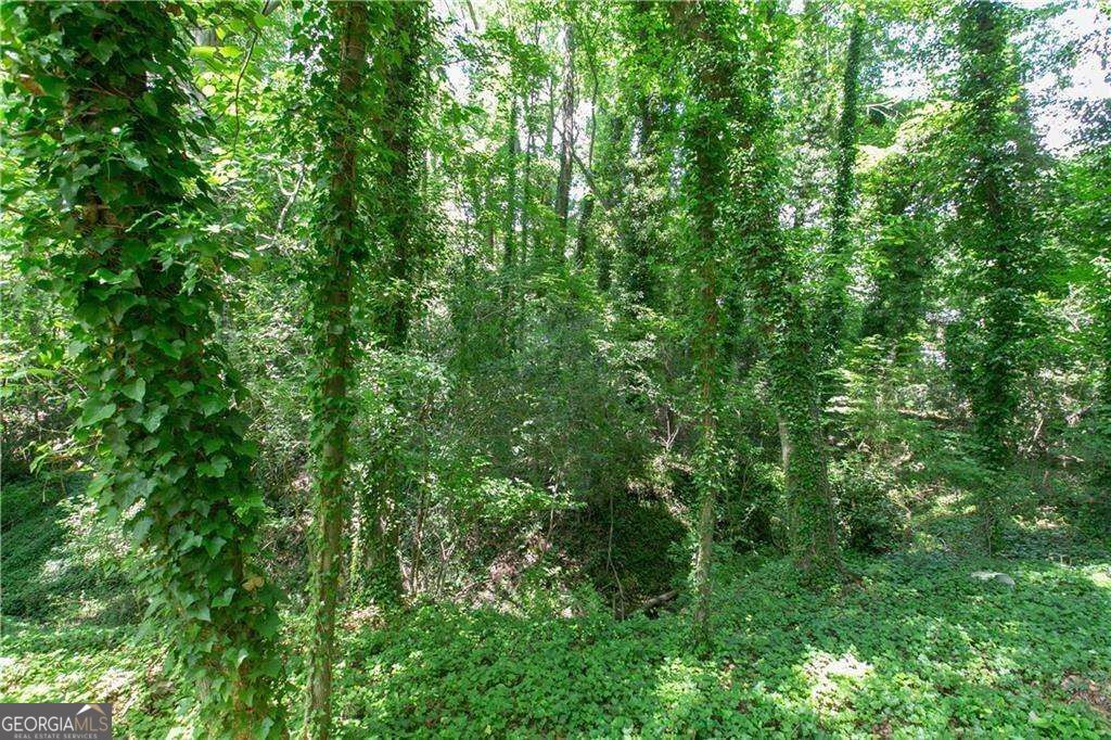 577 Lynhurst Drive SW, Atlanta, GA 30311 — photo 2