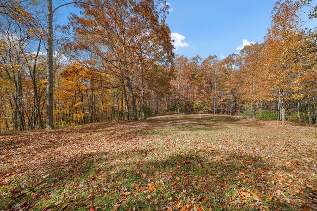 10712 Doublehead Gap Road, Ellijay, GA 30536