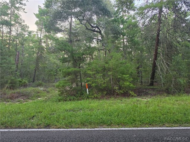 17 Oak Village Boulevard, Homosassa, FL 34446