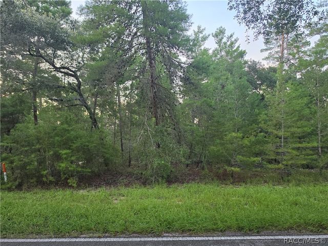 17 Oak Village Boulevard, Homosassa, FL 34446