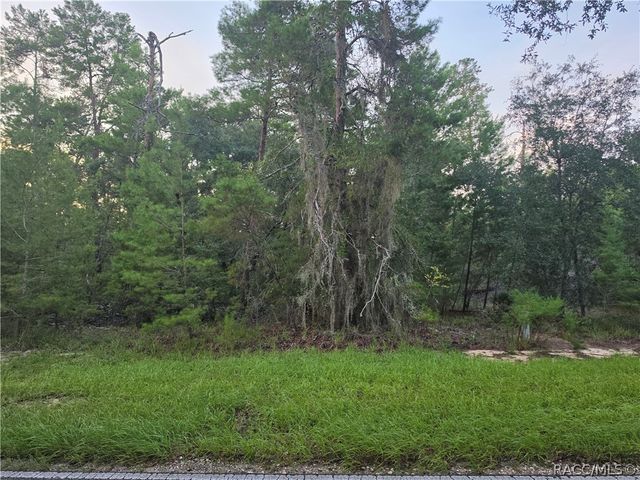 17 Oak Village Boulevard, Homosassa, FL 34446