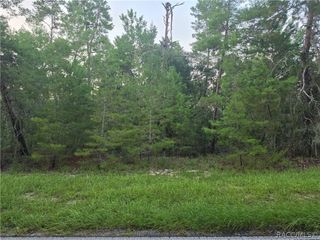 17 Oak Village Boulevard, Homosassa, FL 34446