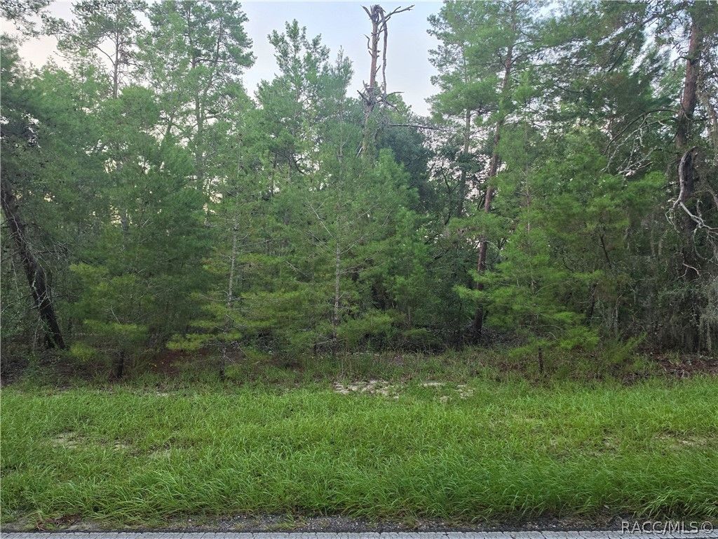 17 Oak Village Boulevard, Homosassa, FL 34446