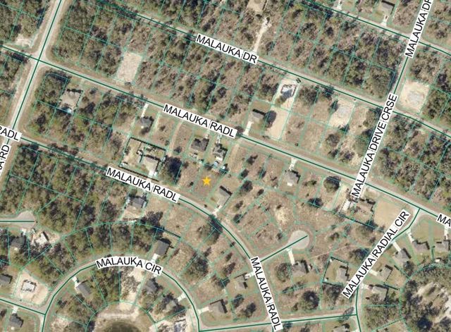 MALAUKA RADIAL, Ocklawaha, FL 32179