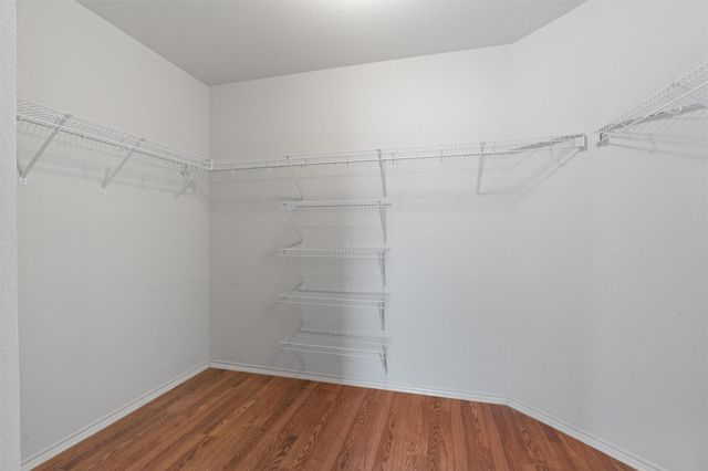 1517 Big Thicket DR, Cedar Park, TX 78613