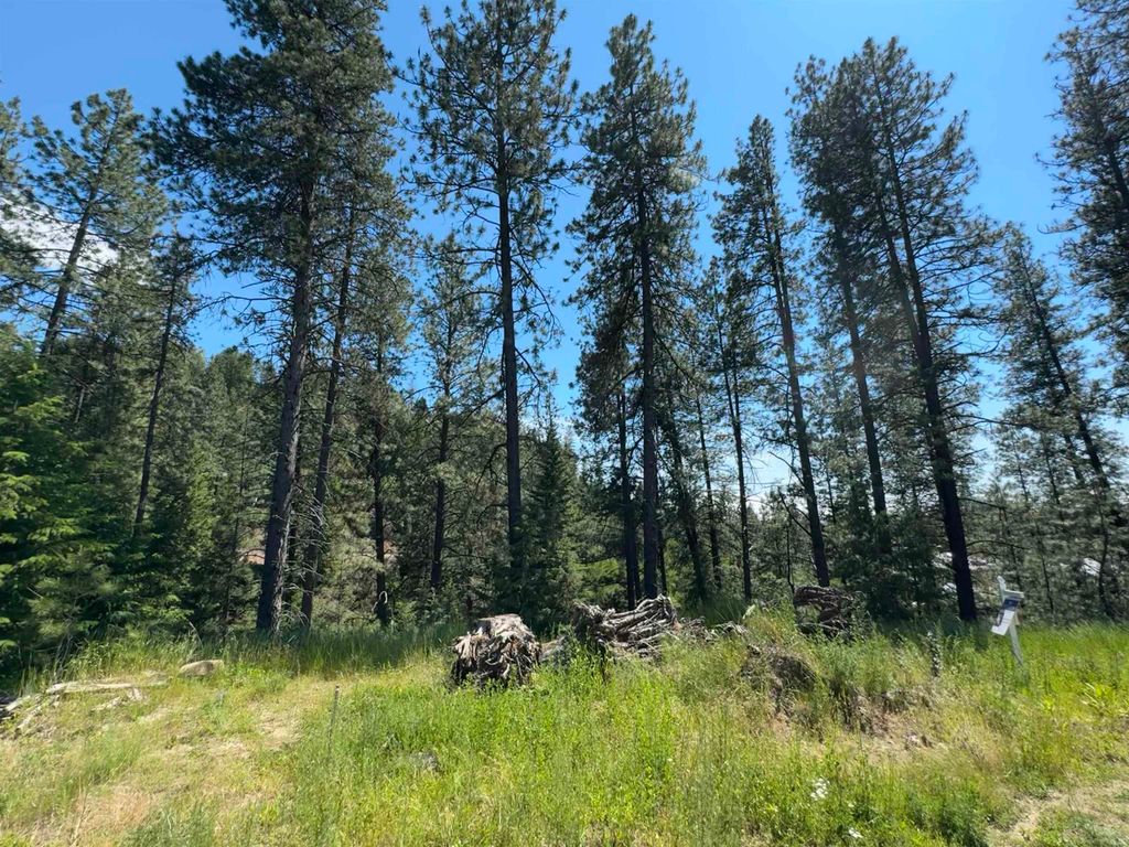 340 N Beck Ln, Springdale, WA 99173 photo 2