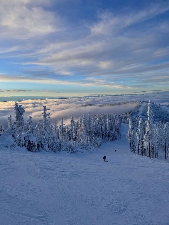 340 N Beck Ln, Springdale, WA 99173 photo 12