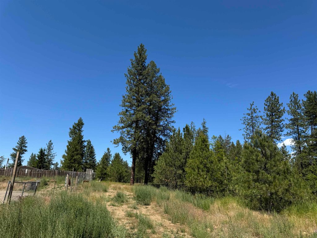 340 N Beck Ln, Springdale, WA 99173 photo 3