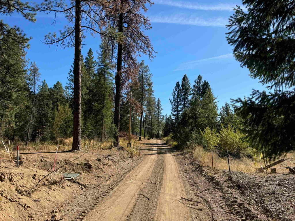 340 N Beck Ln, Springdale, WA 99173 photo 6