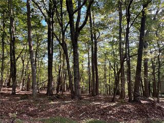 402 South View Trail, Jasper, GA 30143