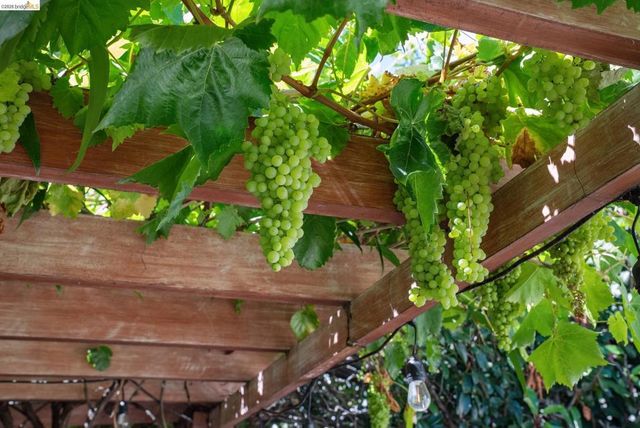 1989 1989 Oakview Dr, Oakland, CA 94602