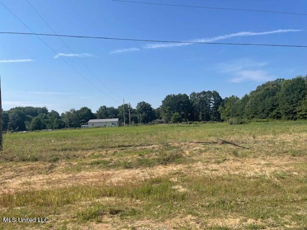 1843 Cane Creek Drive, Hernando, MS 38632 — photo 2