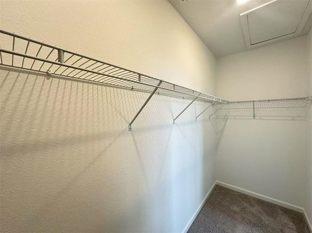 7143 ROSY SKY AVENUE, Orlando, FL 32829