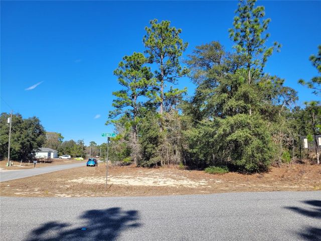 3153 W EUNICE DRIVE, Dunnellon, FL 34433