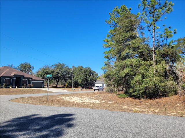 3153 W EUNICE DRIVE, Dunnellon, FL 34433