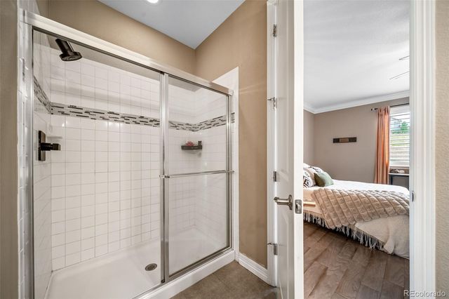 6393 Agave Avenue, Castle Rock, CO 80108