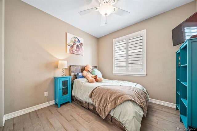 6393 Agave Avenue, Castle Rock, CO 80108