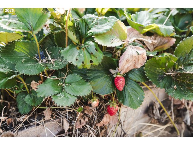 811 Ne Clyde Pl Ne 116 C, Grants Pass, OR 97526