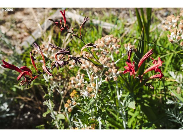 811 Ne Clyde Pl Ne 116 C, Grants Pass, OR 97526