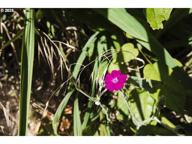 811 Ne Clyde Pl Ne 116 C, Grants Pass, OR 97526