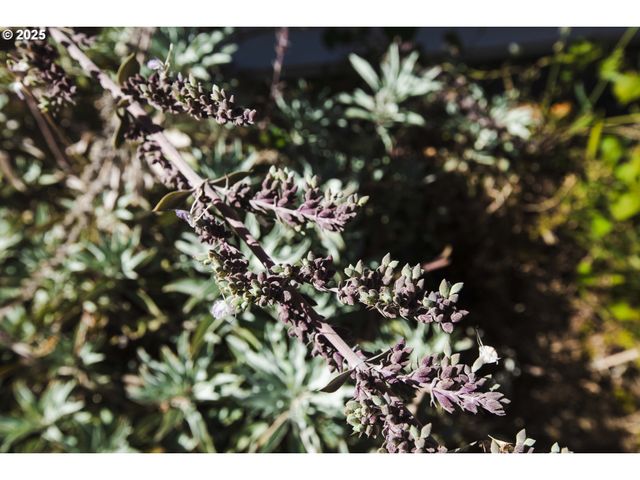 811 Ne Clyde Pl Ne 116 C, Grants Pass, OR 97526