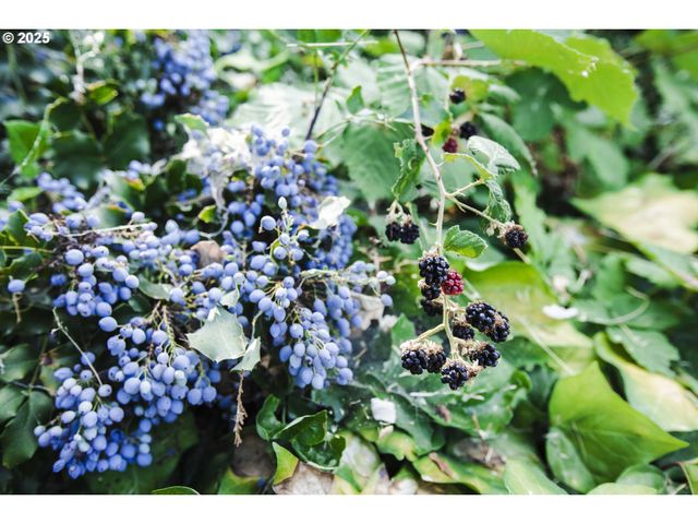 811 Ne Clyde Pl Ne 116 C, Grants Pass, OR 97526