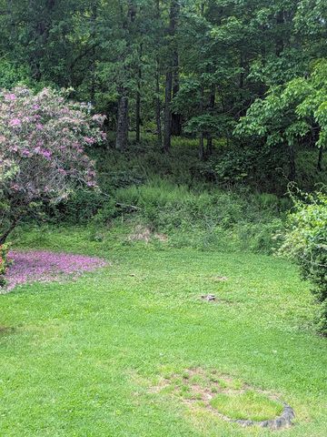 9346 Sweet Annie DR SE, Copper Hill, VA 24079