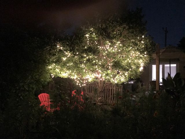 444 S Gibbons Avenue, Arlington Heights, IL 60004