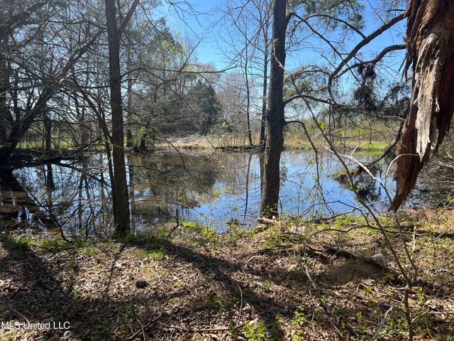 4595 Lucius Taylor Road, Como, MS 38619