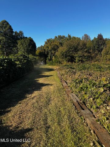 4595 Lucius Taylor Road, Como, MS 38619