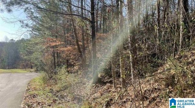 5010 CREEK BLUFF, Mccalla, AL 35111