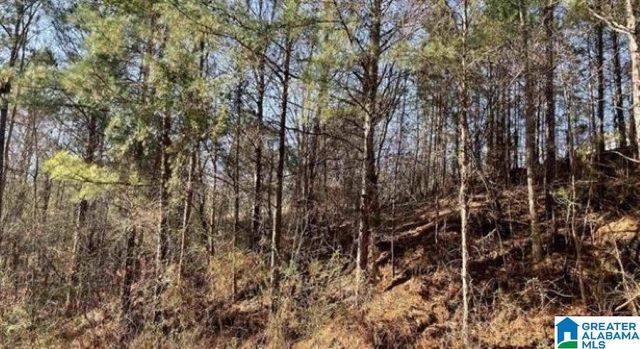 5010 CREEK BLUFF, Mccalla, AL 35111