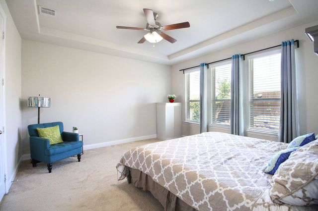 14286 Winecup Drive, Frisco, TX 75033
