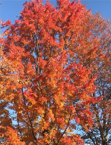 3933 Hardt Dr, Richland, PA 15044