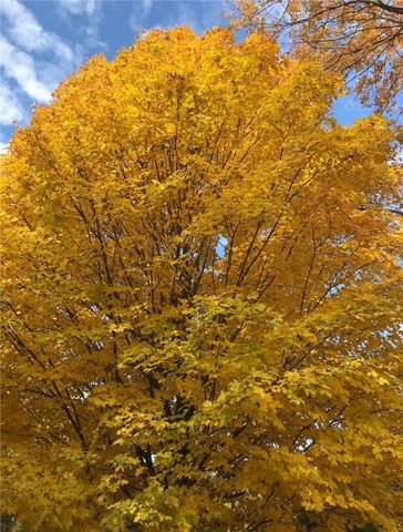 3933 Hardt Dr, Richland, PA 15044