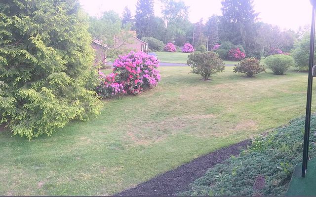 3933 Hardt Dr, Richland, PA 15044