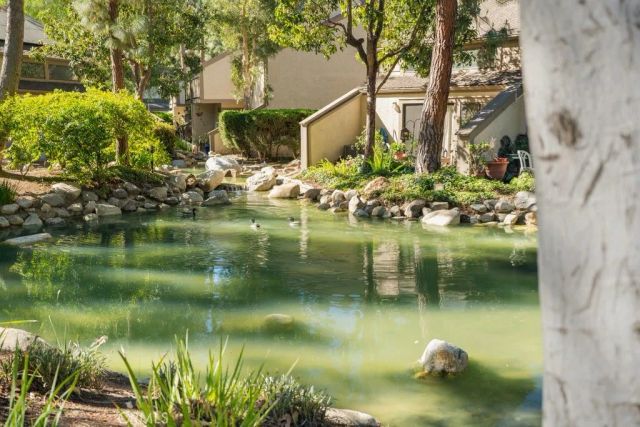 1705 Shady Brook Drive 37, Fullerton, CA 92831