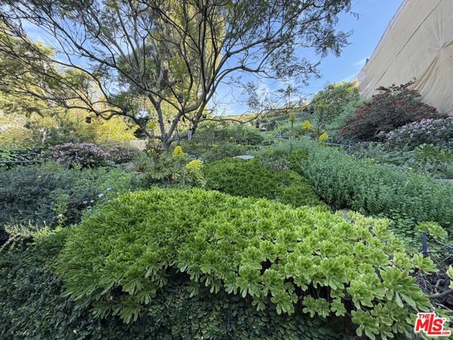 439 Mesa Road, Santa Monica, CA 90402