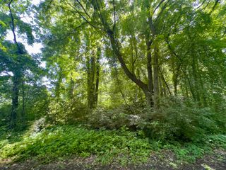 1715 Watson Avenue, Ypsilanti, MI 48198