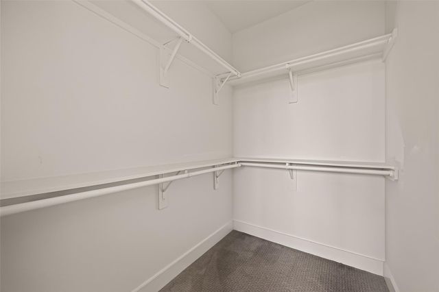 8821 Hollister Pine Court, Houston, TX 77080