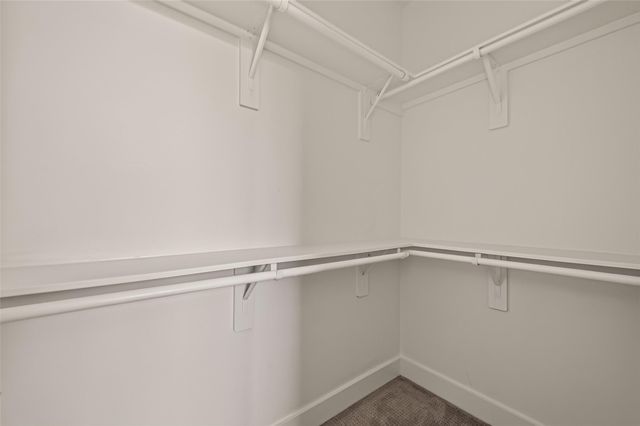 8821 Hollister Pine Court, Houston, TX 77080