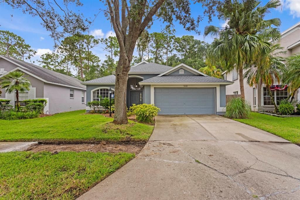 10420 SPRINGROSE, Tampa, FL 33626