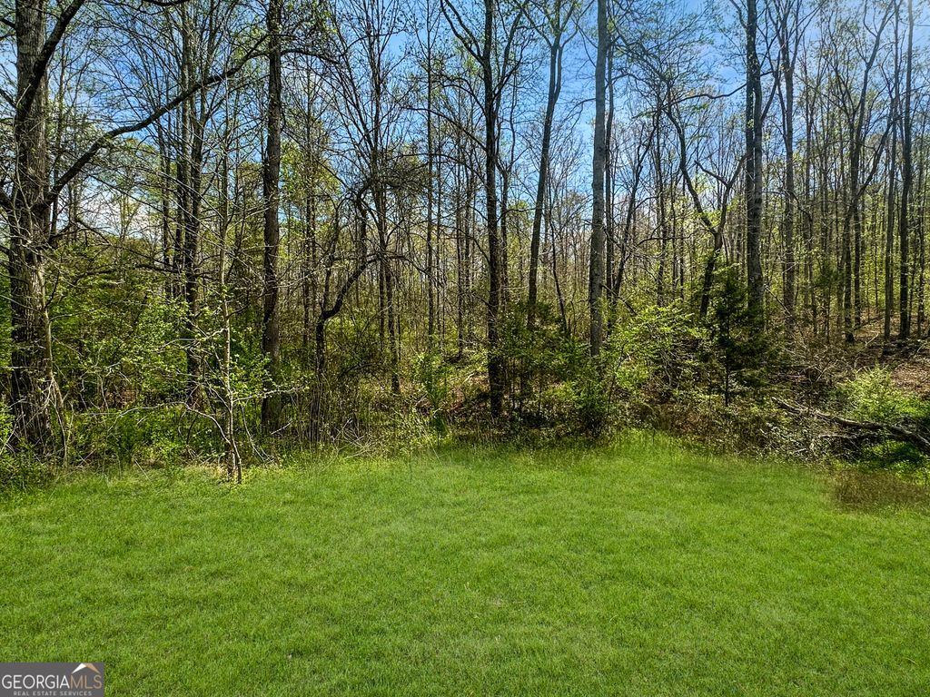 960 Gooseneck Road LOT 4, Eastanollee, GA 30538 — photo 2