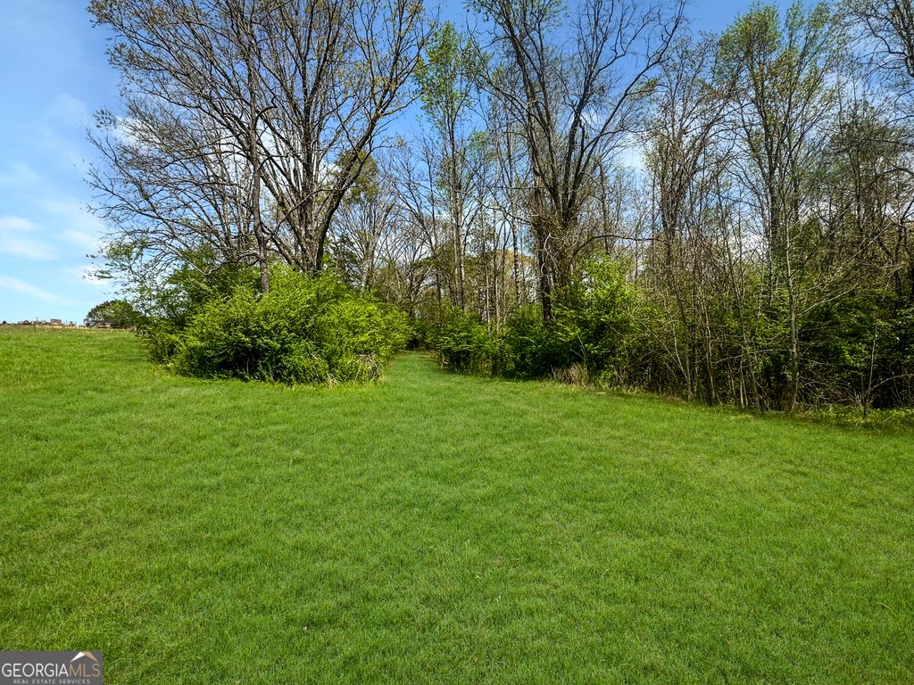 960 Gooseneck Road LOT 4, Eastanollee, GA 30538 — photo 3