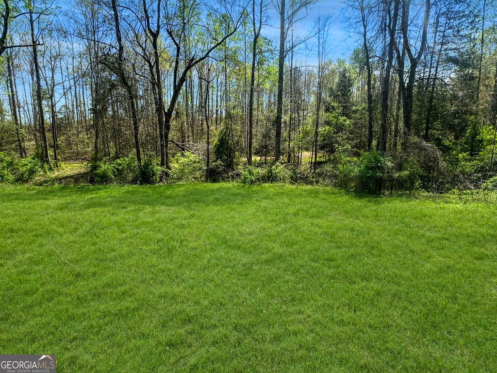 960 Gooseneck Road LOT 4, Eastanollee, GA 30538 — photo 5