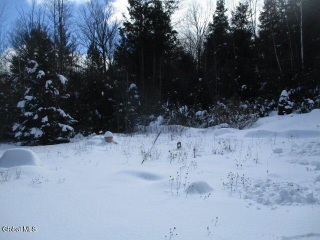 93 Rollies Road, Warrensburg, NY 12885