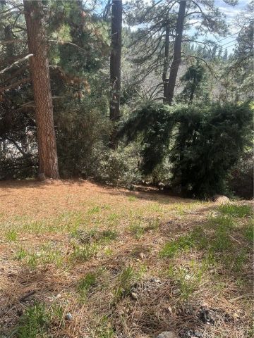 0 Fern Canyon, Cedarpines Park, CA 92322